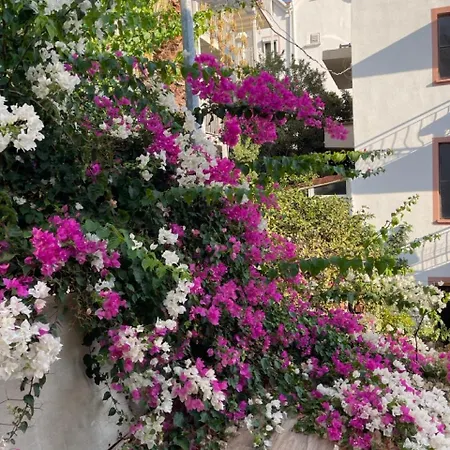 Privatunterkunft Paydos *