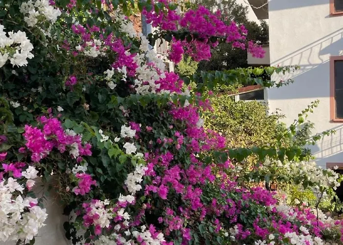 Privat bolig Paydos *